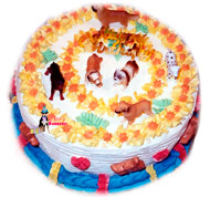 Dog Birthday Cakes in New York

