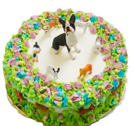 Birthday Cakes For Dogs
