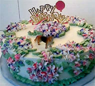 Dog Birthday Cakes
