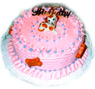 Birthday Cakes For Dogs
