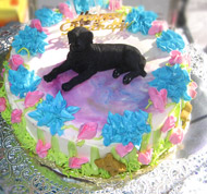 Dog Birthday Cakes
