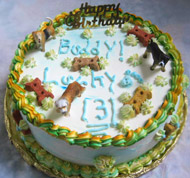 Birthday Cakes For Dogs
