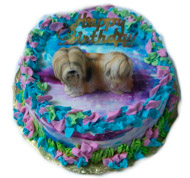 Dog Birthday Cakes
