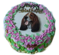 Dog Birthday Cakes
