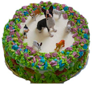 Dog Birthday Cakes
