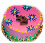 Birthday Cakes For Dogs
