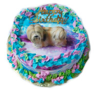 Dog Birthday Cakes
