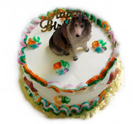 Birthday Cakes For Dogs
