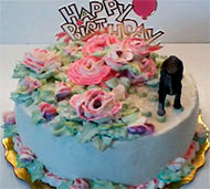 Birthday Cakes For Dogs
